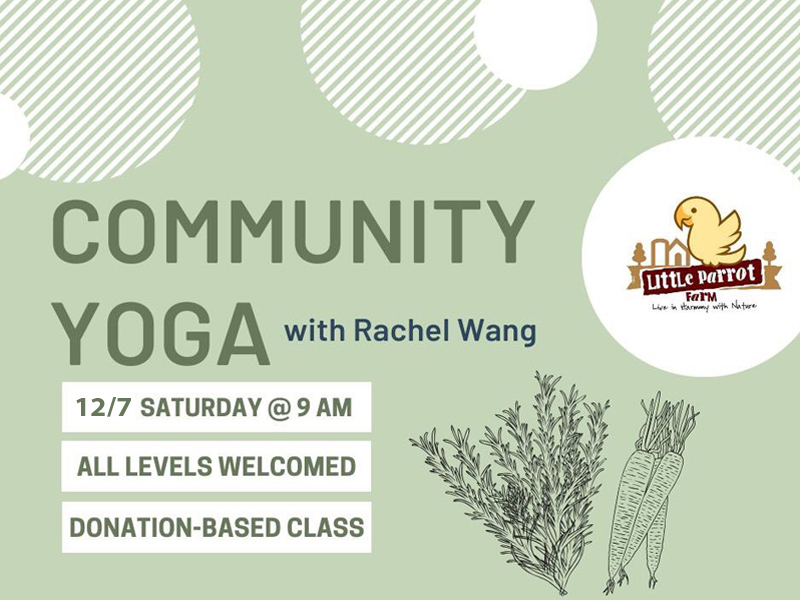 Community Yoga at Little Parrot Farm